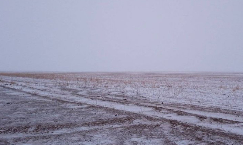 Самранд явж байгаад төөрсөн иргэнийг эрэн хайх ажиллагаа үргэлжилж байна 